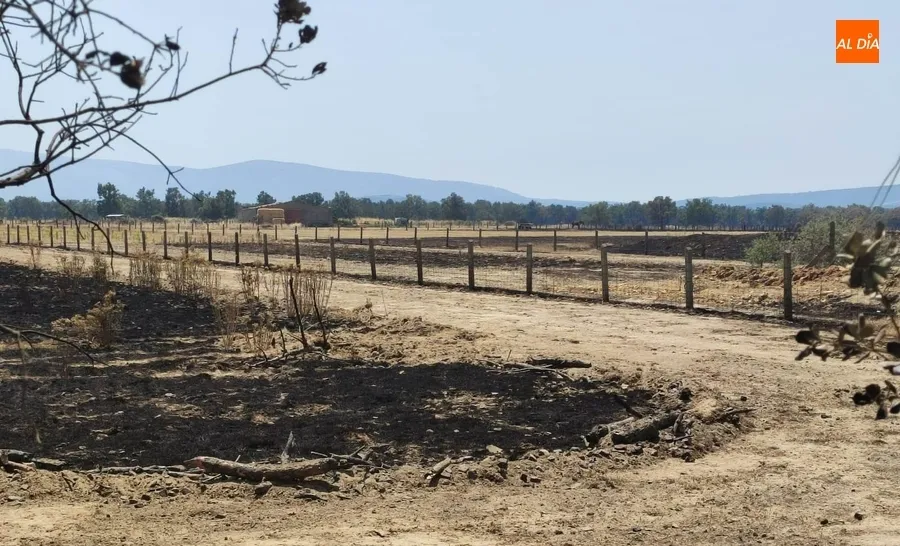 Imágenes de la zona en la mañana del miércoles | Fotos: Adrián Martín
