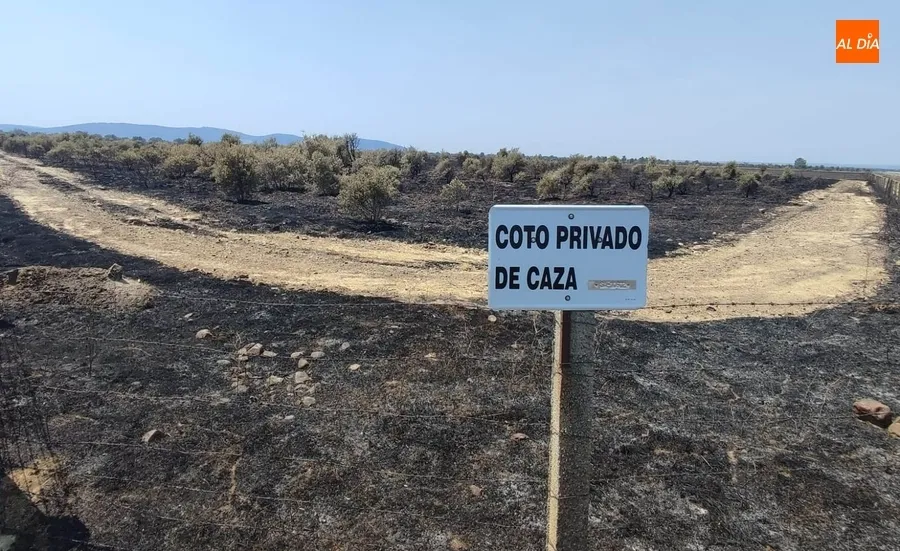 Imágenes de la zona en la mañana del miércoles | Fotos: Adrián Martín