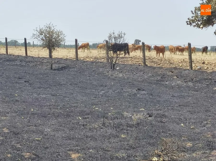 Imágenes de la zona en la mañana del miércoles | Fotos: Adrián Martín