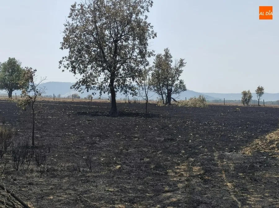Imágenes de la zona en la mañana del miércoles | Fotos: Adrián Martín