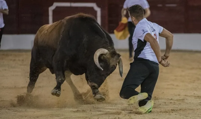 El cortador salmantino Arturo Tapia