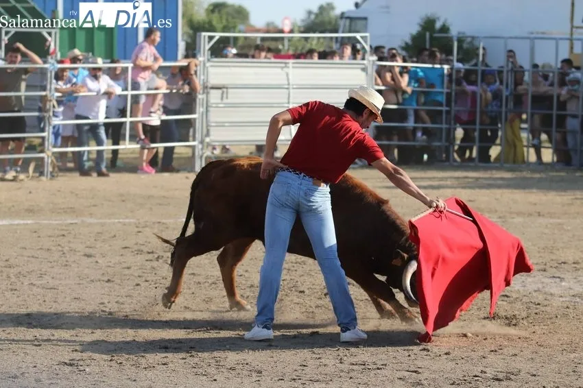 Bonito festejo taurino en Villar de Peralonso con motivo de las fiestas de San Pedro / REP. GRÁFICO: MIGUEL HERNANDEZ 
