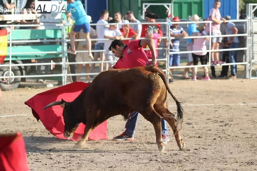 Bonito festejo taurino en Villar de Peralonso con motivo de las fiestas de San Pedro / REP. GRÁFICO: MIGUEL HERNANDEZ 