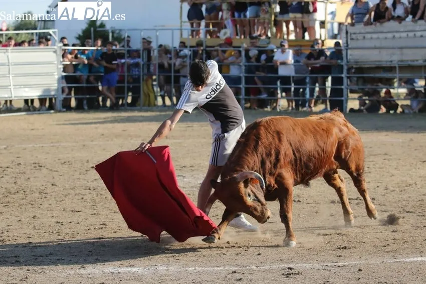 Bonito festejo taurino en Villar de Peralonso con motivo de las fiestas de San Pedro / REP. GRÁFICO: MIGUEL HERNANDEZ 