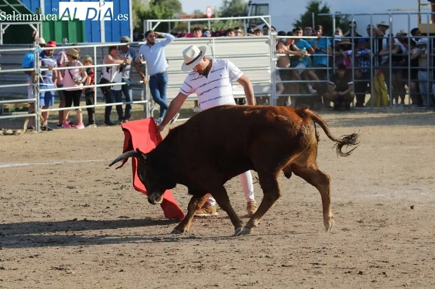 Bonito festejo taurino en Villar de Peralonso con motivo de las fiestas de San Pedro / REP. GRÁFICO: MIGUEL HERNANDEZ 