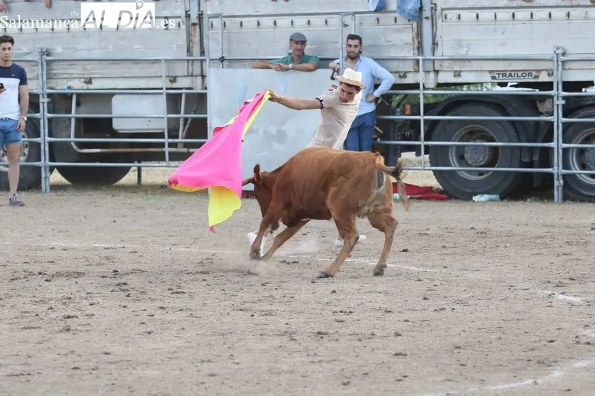 Bonito festejo taurino en Villar de Peralonso con motivo de las fiestas de San Pedro / REP. GRÁFICO: MIGUEL HERNANDEZ 