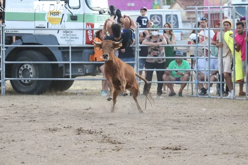 Bonito festejo taurino en Villar de Peralonso con motivo de las fiestas de San Pedro / REP. GRÁFICO: MIGUEL HERNANDEZ 
