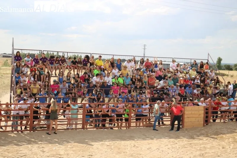 Boada se quedó pequeña en su I Toro de Cajón  /  CORRAL  