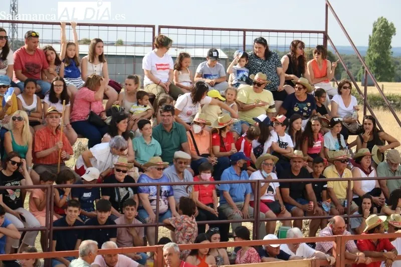 Boada se quedó pequeña en su I Toro de Cajón  /  CORRAL  