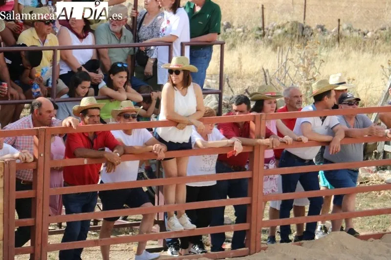 Boada se quedó pequeña en su I Toro de Cajón  /  CORRAL  