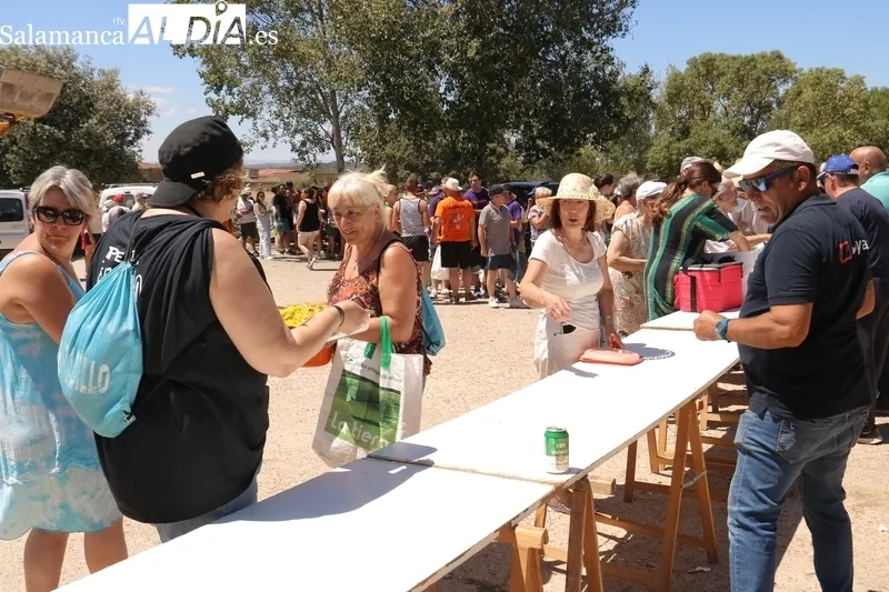 Paella fin de fiestas de 900 raciones en Sobradillo / CORRAL