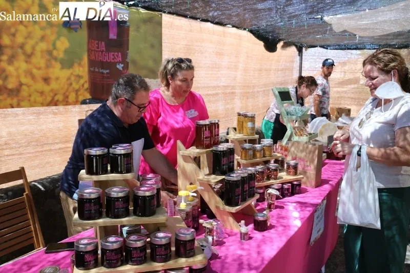 Feria de Artesanía y Agroecología de Monleras / CORRAL
