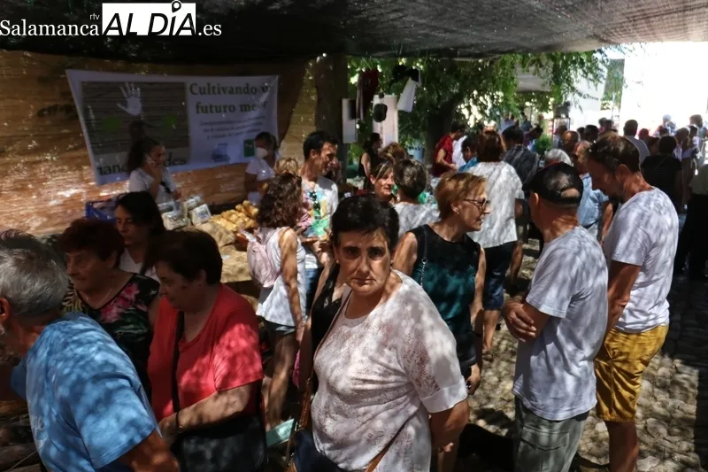 Feria de Artesanía y Agroecología de Monleras / CORRAL