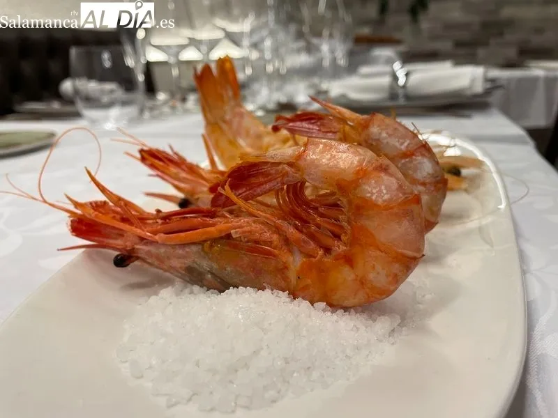 Restaurante Casa El Vive cuenta desde hoy con un nuevo comedor