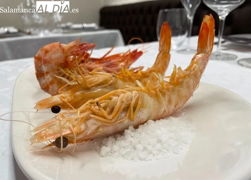 Restaurante Casa El Vive cuenta desde hoy con un nuevo comedor