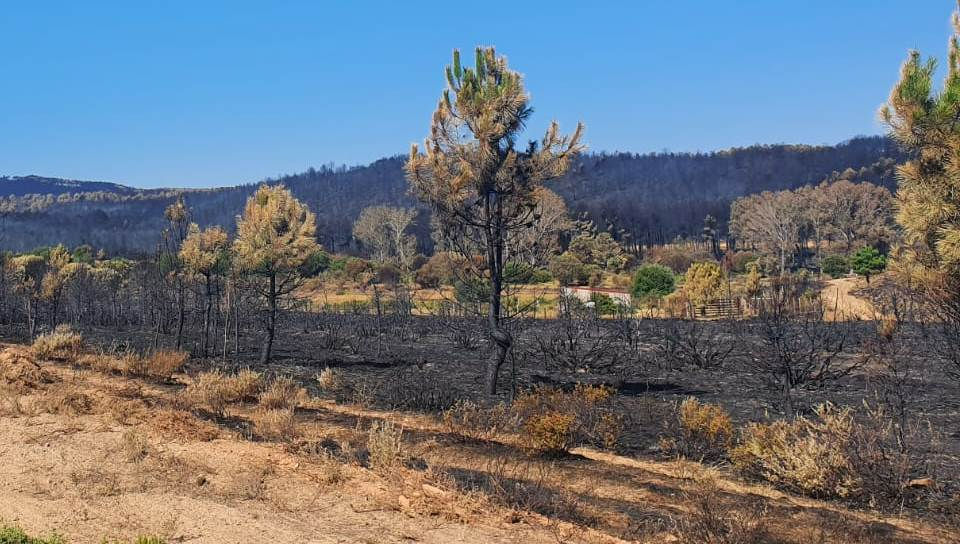 Foto 1 - El incendio del sureste de la comarca mirobrigense baja al Nivel 0 de gravedad