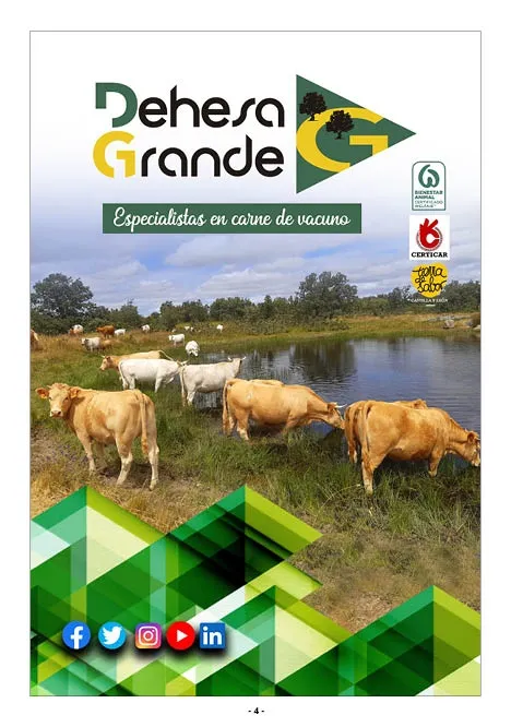 Foto 6 - El libro de las Ferias y Fiestas de Vitigudino 2022 ya est&aacute; disponible en formato digital