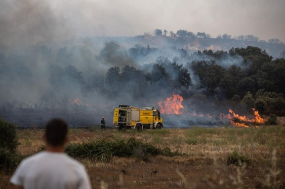 Bomberos trabajabando en la extinción del fuego del incendio de Losacio | Europa Press