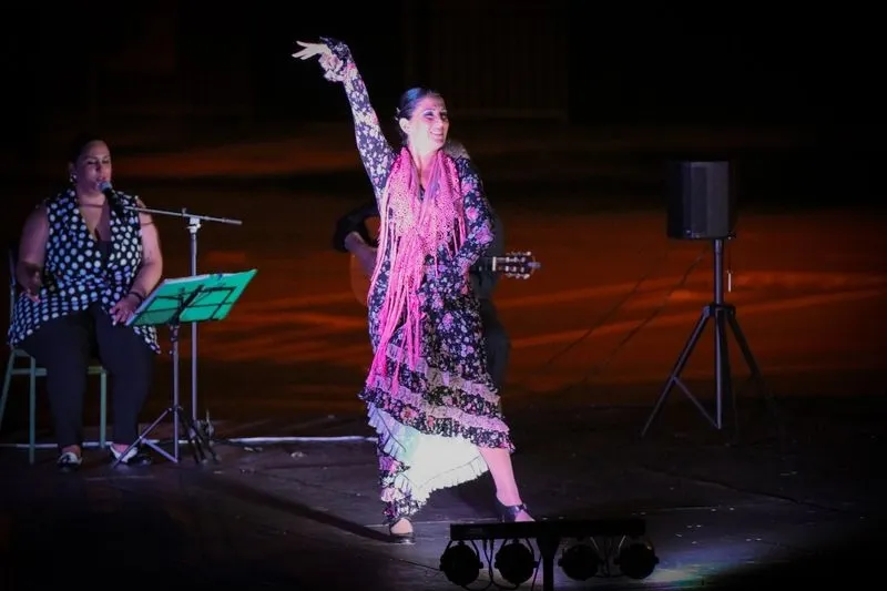 Imágenes de las diferentes propuestas culturales que se han celebrado en Carbajosa
