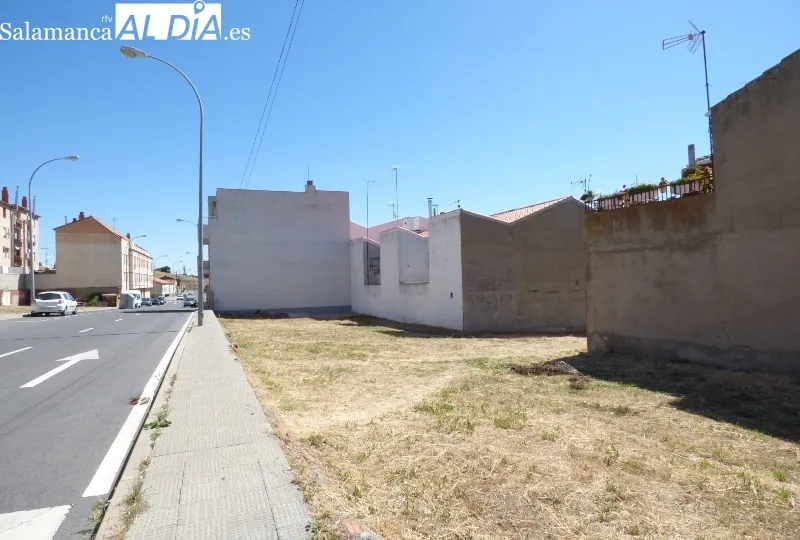 Césped seco y sin cuidar en el barrio Los Alcaldes.