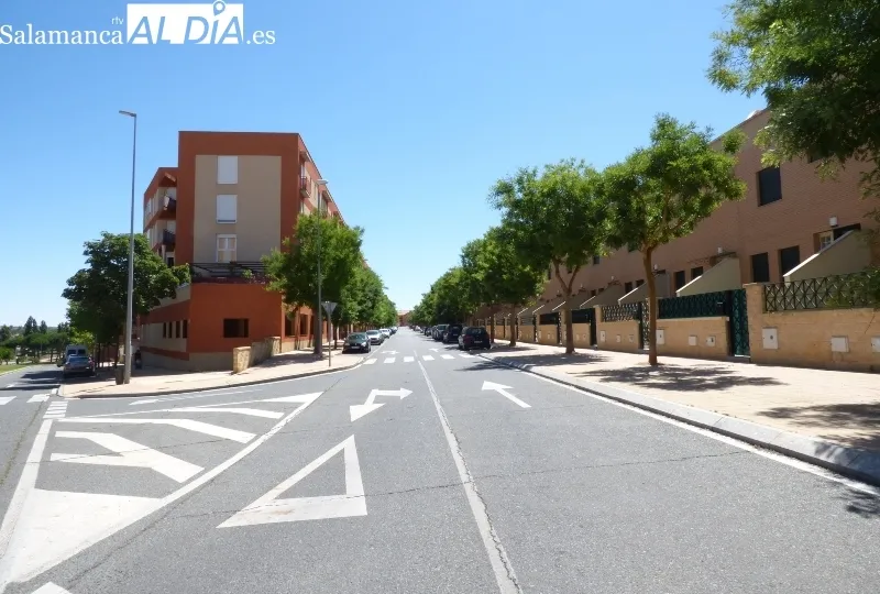 Calle en la que los coches circulan a gran velocidad. Se instalaron radares pero demandan pasos de cebra elevados.
