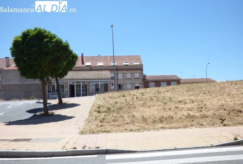 Jardines sin cuidar y quemados en las inmediaciones de las casas de los vecinos.
