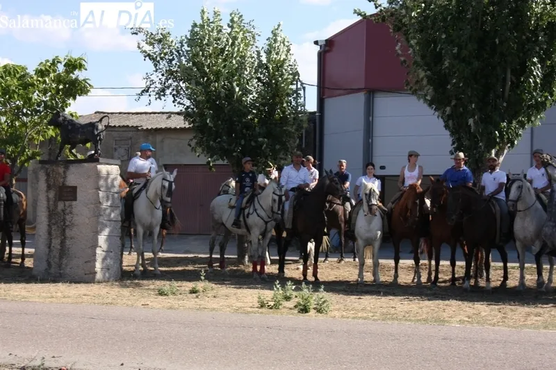 Romería del Torito Perdigón en Valderrodrigo