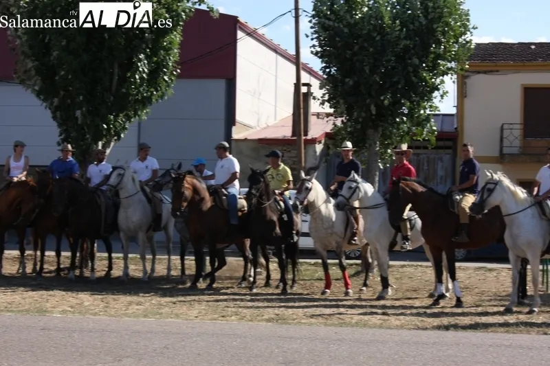 Romería del Torito Perdigón en Valderrodrigo