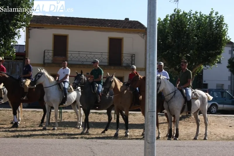 Romería del Torito Perdigón en Valderrodrigo