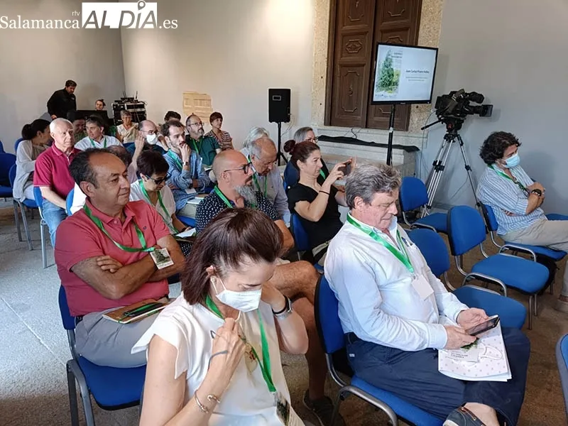 Foto 6 - El Bosque de B&eacute;jar acoge un congreso para potenciar sus virtudes