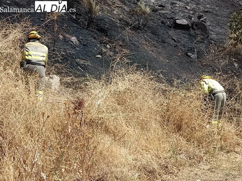 Foto 5 - Susto en la piscina de La Cerrallana, en B&eacute;jar, por un fuego que ha obligado a su desalojo temporal 