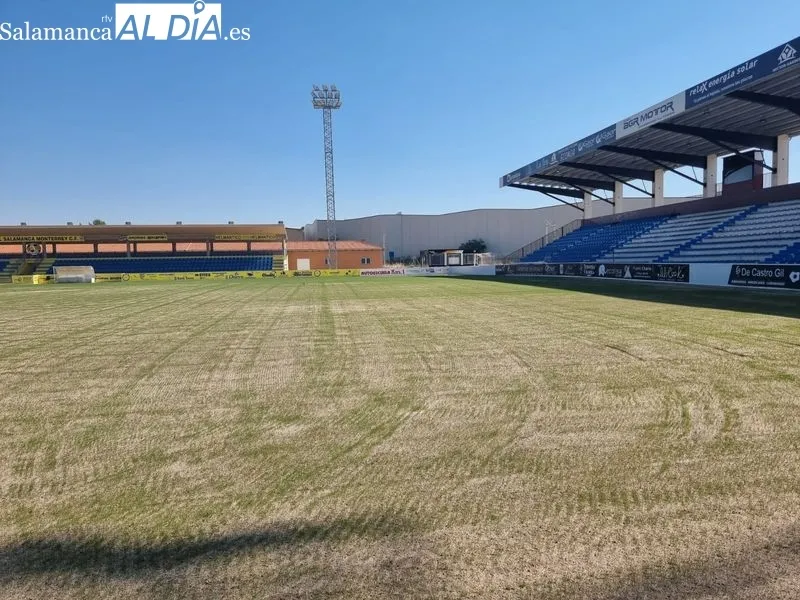 Foto 4 - El color verde del nuevo c&eacute;sped natural ya se ve en el Reina Sof&iacute;a