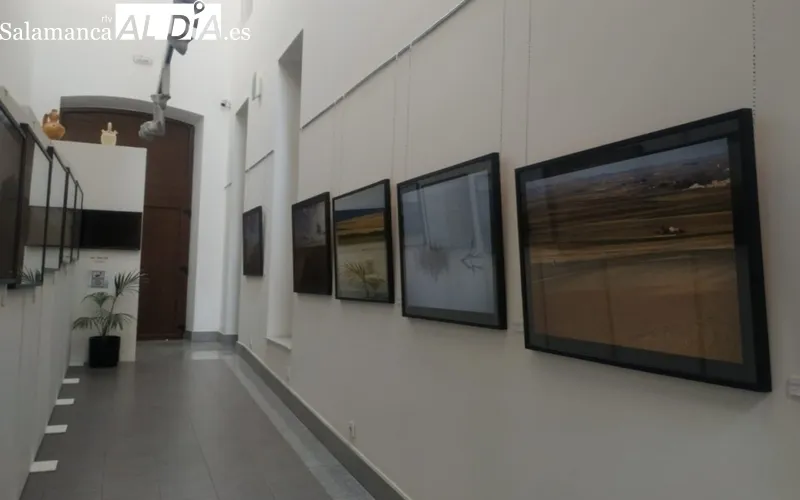 Exposición 'Llanuras de Salamanca', de David Arranz, en el edificio San Nicolás / CORRAL