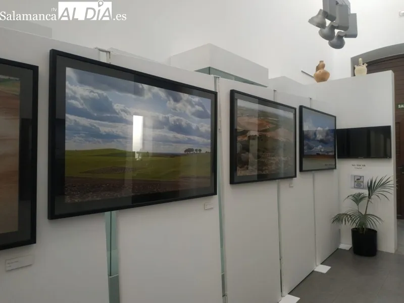 Exposición 'Llanuras de Salamanca', de David Arranz, en el edificio San Nicolás / CORRAL