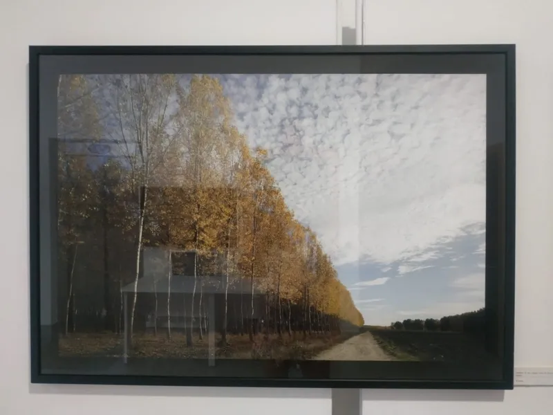 La exposición podrá visitarese esste martes de 19.00 a 21.00 horas, y el jueves, viernes y sábado de 10.30 a 14.30 horas