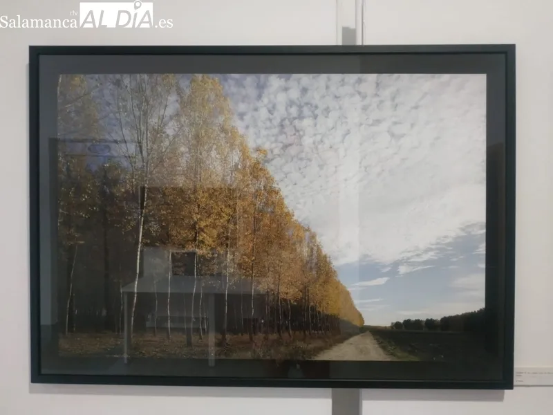 Exposición 'Llanuras de Salamanca', de David Arranz, en el edificio San Nicolás / CORRAL