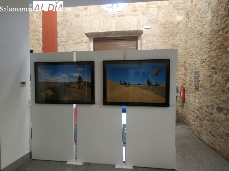 Exposición 'Llanuras de Salamanca', de David Arranz, en el edificio San Nicolás / CORRAL