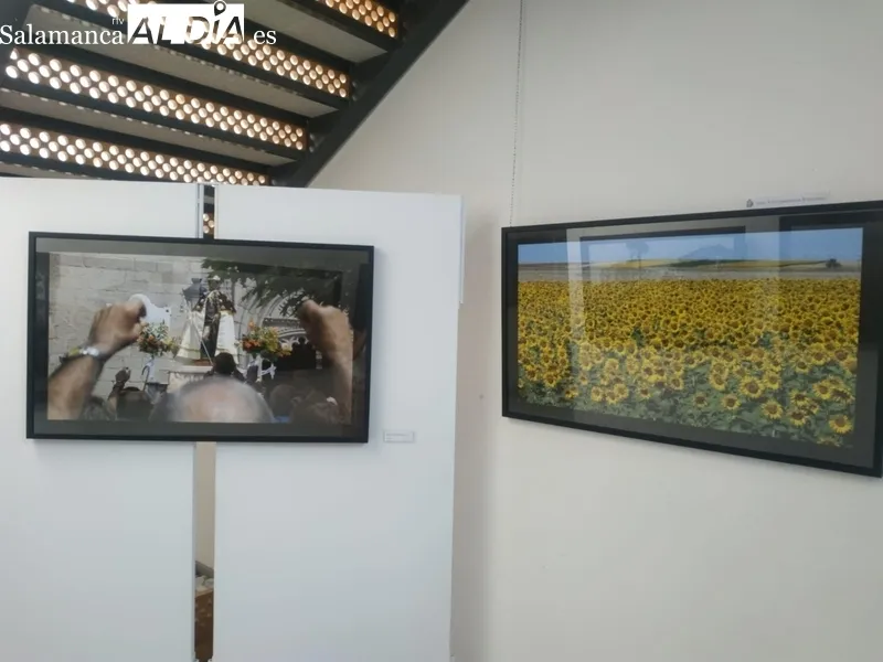 Exposición 'Llanuras de Salamanca', de David Arranz, en el edificio San Nicolás / CORRAL