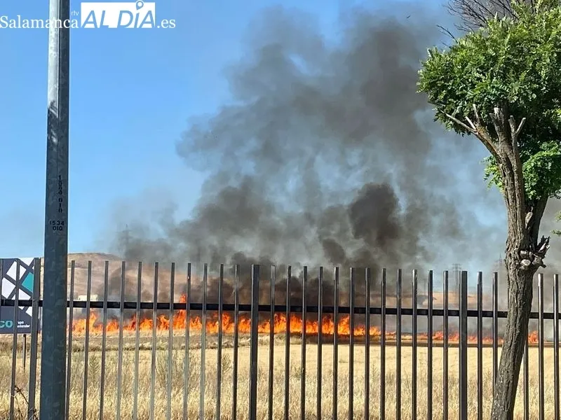 Foto 6 - Se desata otro incendio  en Puente Ladrillo