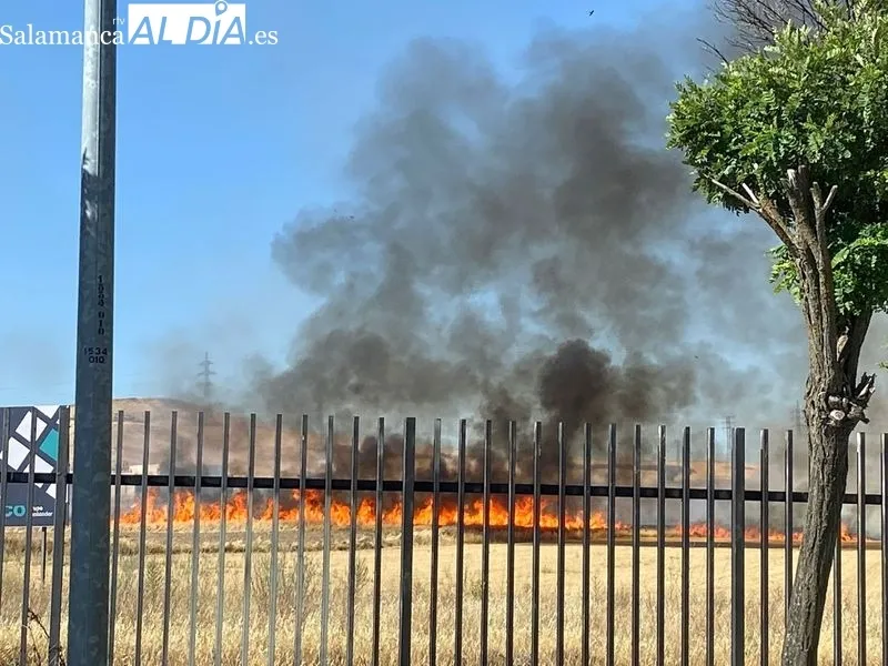 Foto 4 - Se desata otro incendio  en Puente Ladrillo
