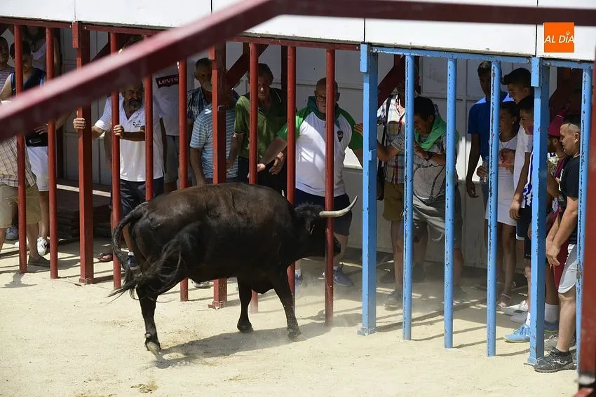 san buenaventura moraleja