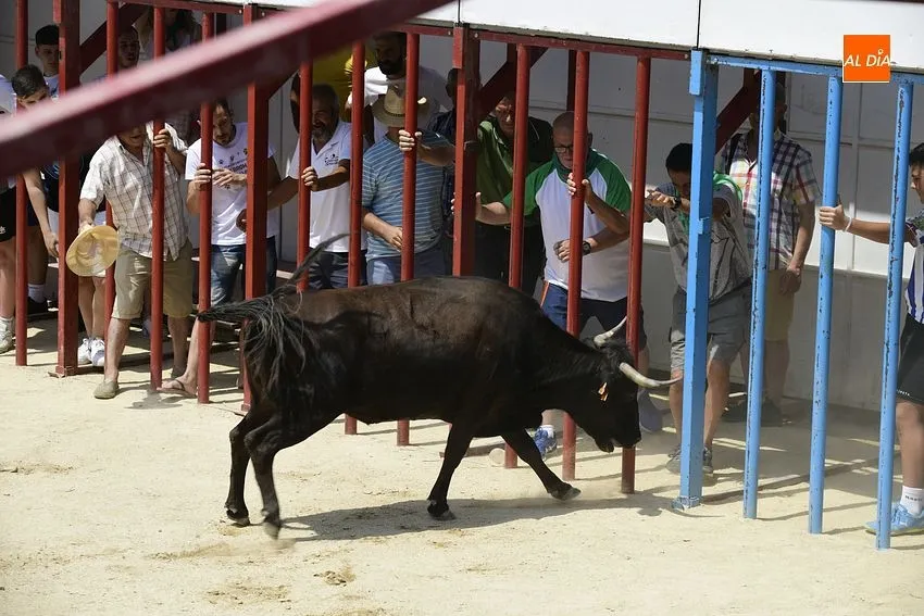 san buenaventura moraleja