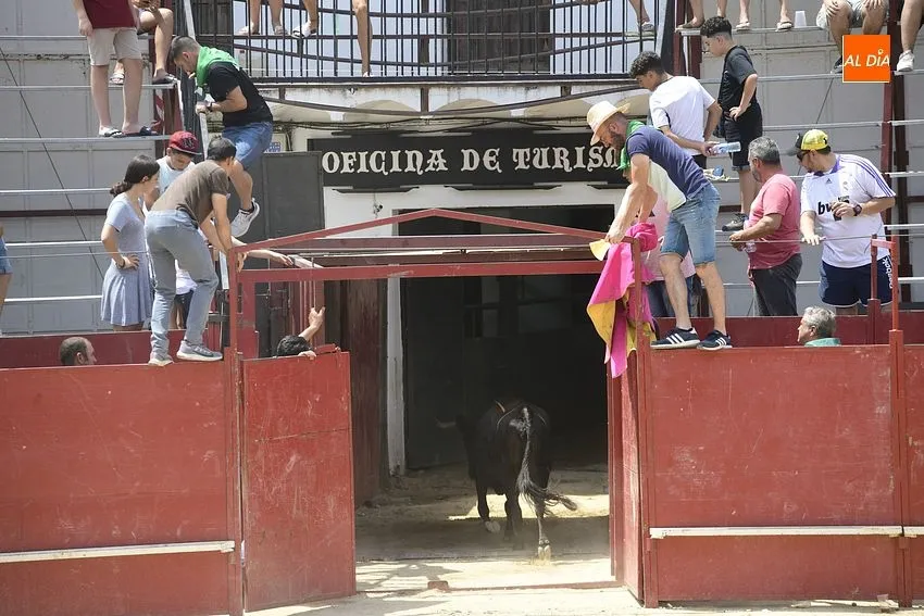 san buenaventura moraleja