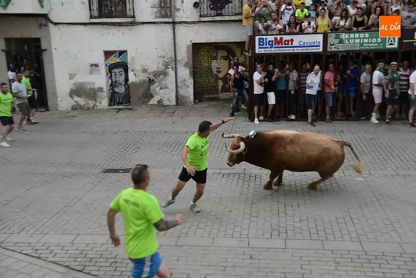 toro en Moraleja- fiestas san buenaventura moraleja