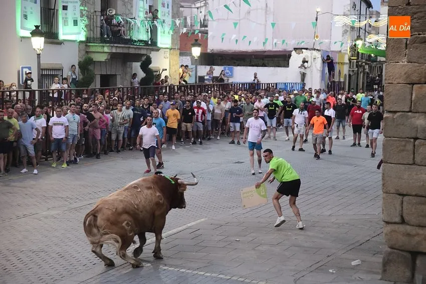toro en Moraleja- fiestas san buenaventura moraleja