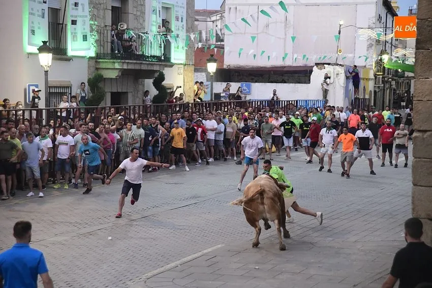 toro en Moraleja- fiestas san buenaventura moraleja