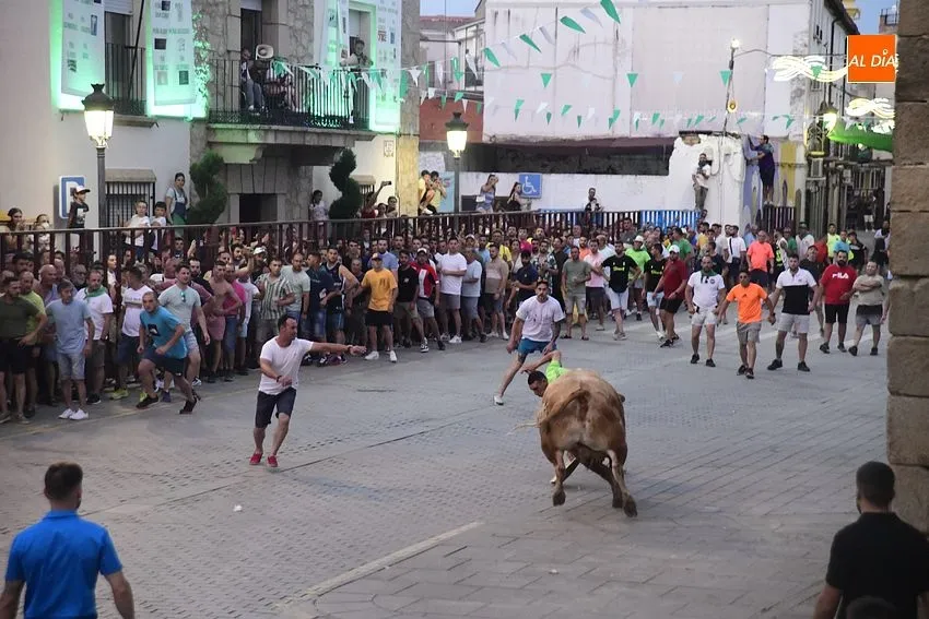 toro en Moraleja- fiestas san buenaventura moraleja