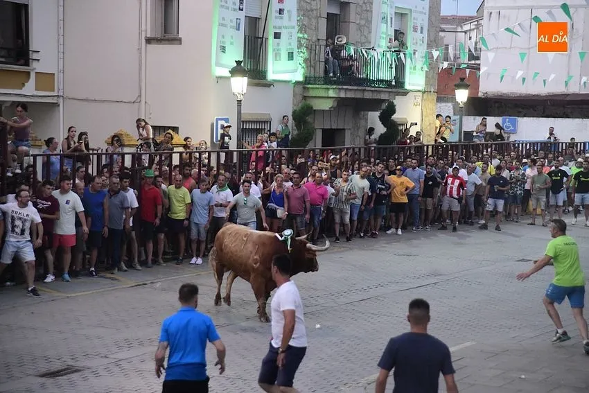 toro en Moraleja- fiestas san buenaventura moraleja