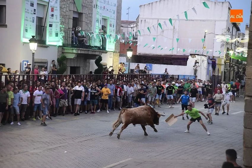 toro en Moraleja- fiestas san buenaventura moraleja