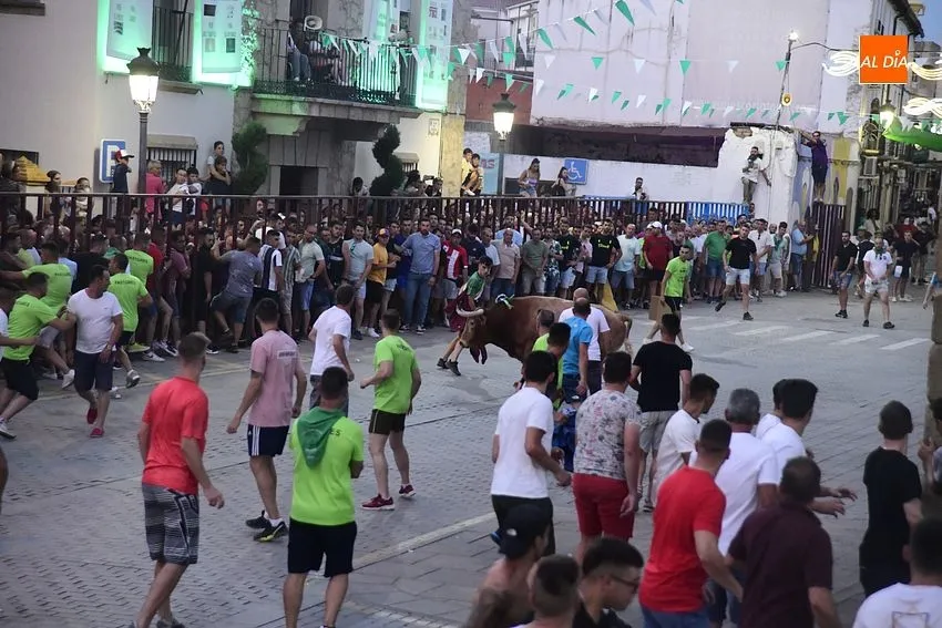 toro en Moraleja- fiestas san buenaventura moraleja